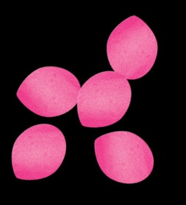 Global Effects Confetti Rose petals PP - Конфетти Бумажное, Лепестки роз 42х42 мм, 1000г.