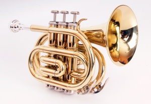 Conductor FLT-PT-L Труба компактная, Bb-key, лакированная, цвет: золото. Conductor