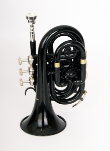 Conductor FLT-PT-BK Труба компактная, Bb-key, лакированная, цвет: черный. Conductor